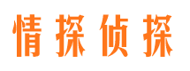 西藏市婚姻出轨调查